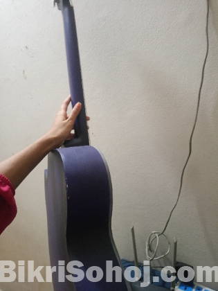 Giveson guiter low prize